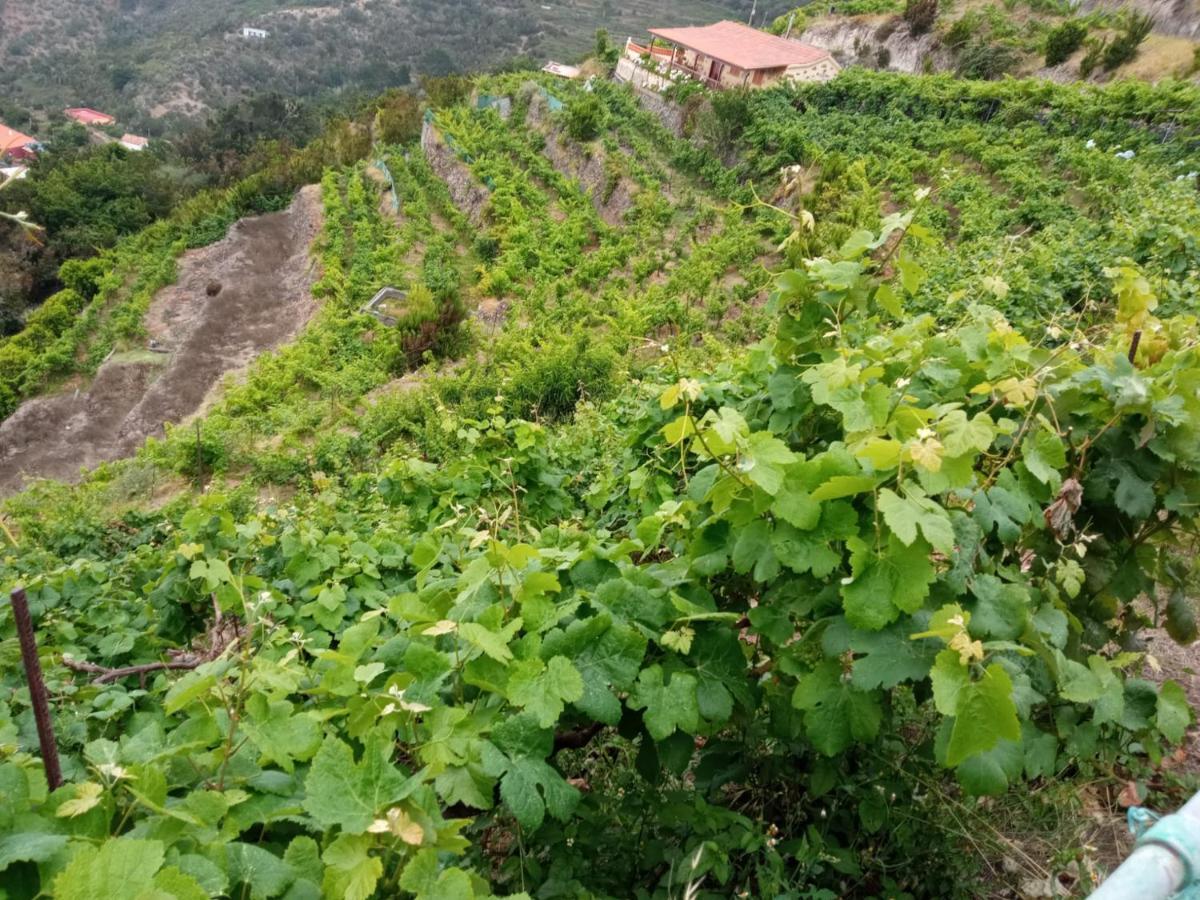 Casa Rural Quilla Agulo Kültér fotó