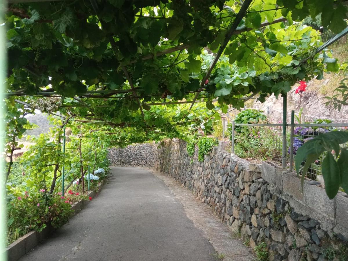 Casa Rural Quilla Agulo Kültér fotó