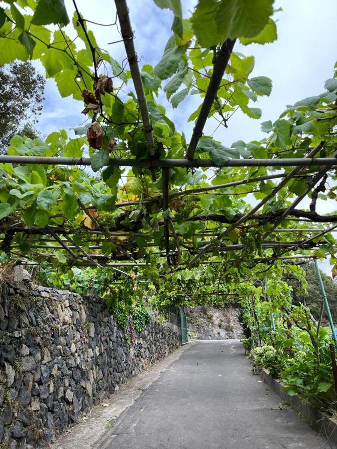 Casa Rural Quilla Agulo Kültér fotó