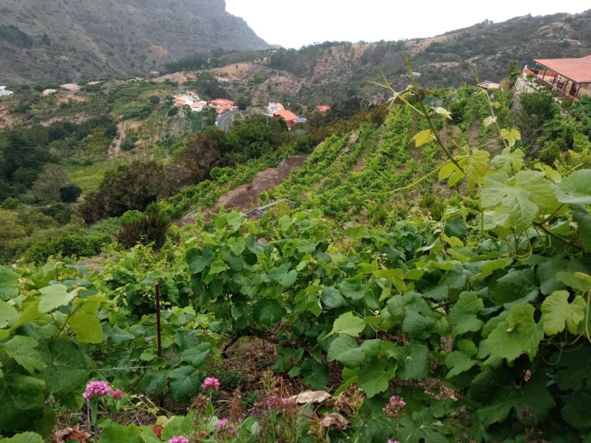 Casa Rural Quilla Agulo Kültér fotó